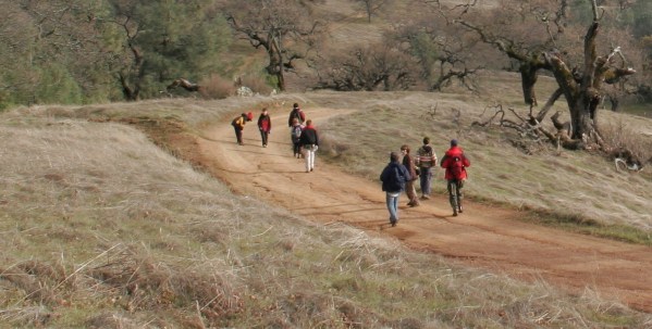 T 14 at Henry Coe 2006 crop 1