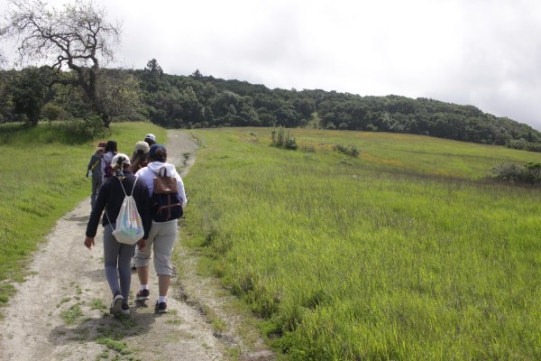 Trail in Edgewood Park